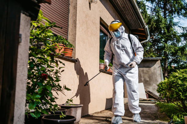 Best Affordable Pest Control Services  in Kellyville, OK