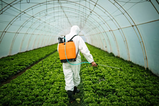 Best Pest Control for Homes  in Kellyville, OK