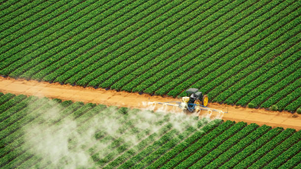 Best Pest Removal Services  in Kellyville, OK