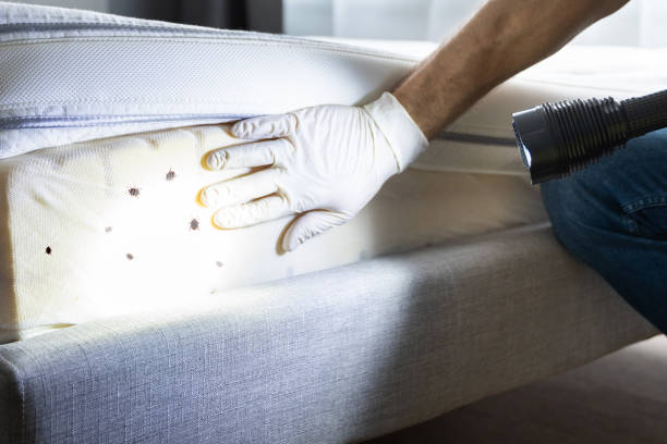 Best Residential Pest Control  in Kellyville, OK