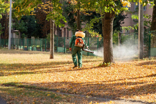 Best Affordable Pest Control Services  in Kellyville, OK