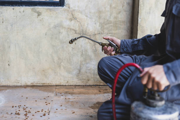 Best Mosquito Control Services  in Kellyville, OK
